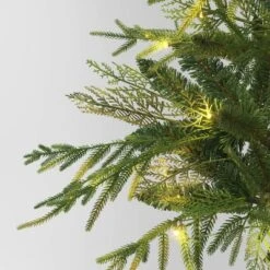 24" Pre-Lit Christmas Norfolk Cedar Artificial Greenery With Ground Stake - Wondershop™ -Wondershop GUEST 517b159a ab98 4251 ad4a 9a78c2d8852a