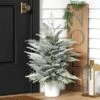 3' Pre-Lit Potted Flocked And Glittered Norfolk Artificial Christmas Tree - Wondershop™