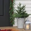 20" Pre-lit LED Battery Operated Mixed Pine Mini Christmas Artificial Pot Filler Warm White Lights - Wondershop™: Indoor/Outdoor