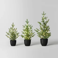 Pre-lit Potted Balsam Fir Mini Artificial Christmas Tree Set Warm White Lights - Wondershop™ 10 Pre-lit Potted Balsam Fir Mini Artificial Christmas Tree Set Warm White Lights - Wondershop™ -Wondershop GUEST dace8258 2c82 4bf0 9dbe c83373b16bdf